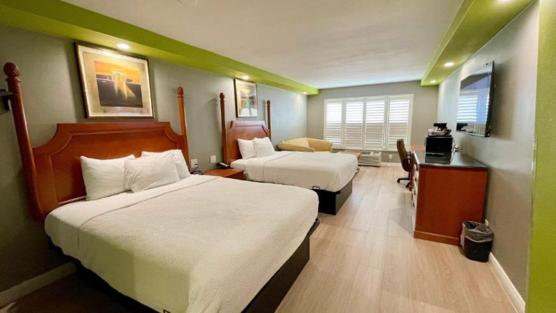 Best Hotels for Outside Lands Festival 2025: Golden Gate Park Stays 20 Best Hotels for Outside Lands