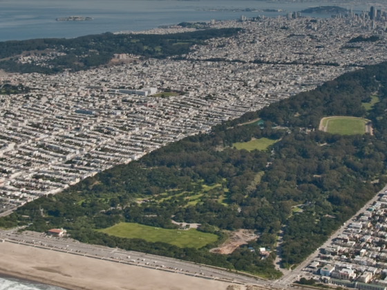 Best Hotels for Outside Lands